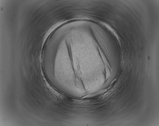 X0000085740951200704091506