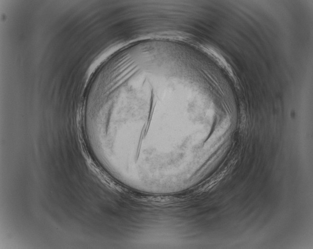 X0000085740952200704091506