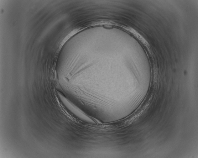 X0000085740953200704091506