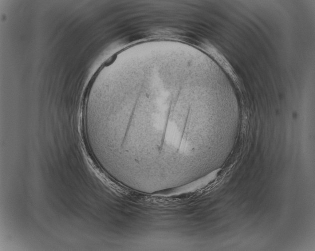 X0000085740955200704091506