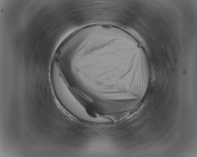 X0000085740958200704091506