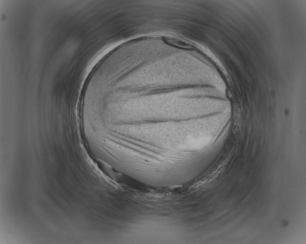 X0000085740959200704091506