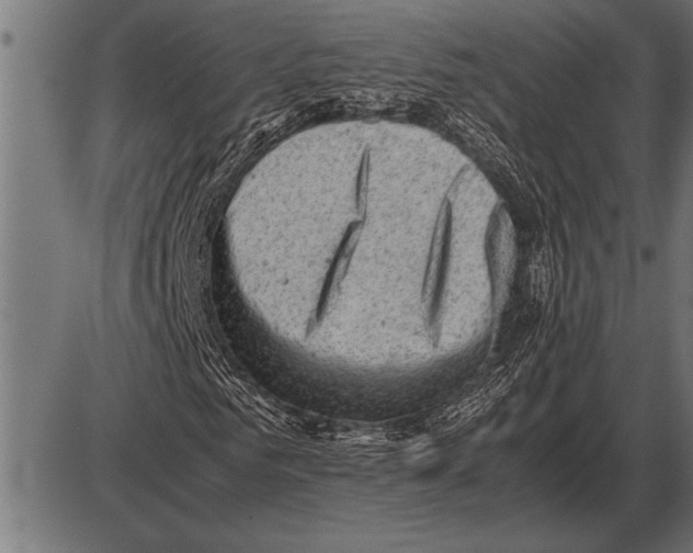 X0000085740961200704091506
