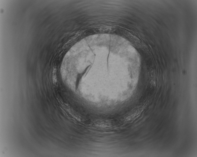 X0000085740962200704091506