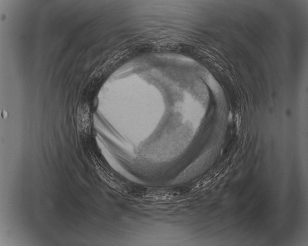 X0000085740963200704091506