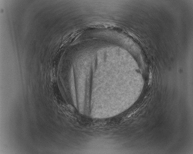 X0000085740965200704091505