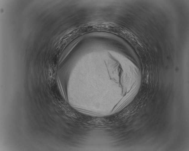 X0000085740966200704091505