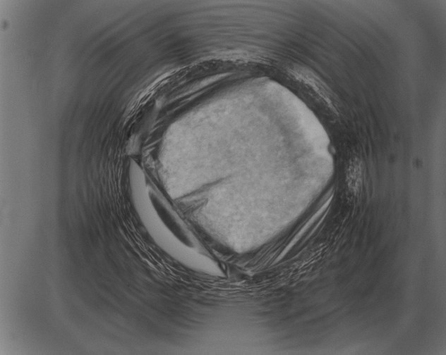 X0000085740968200704091505