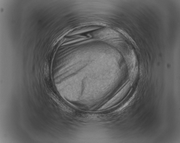 X0000085740969200704091505