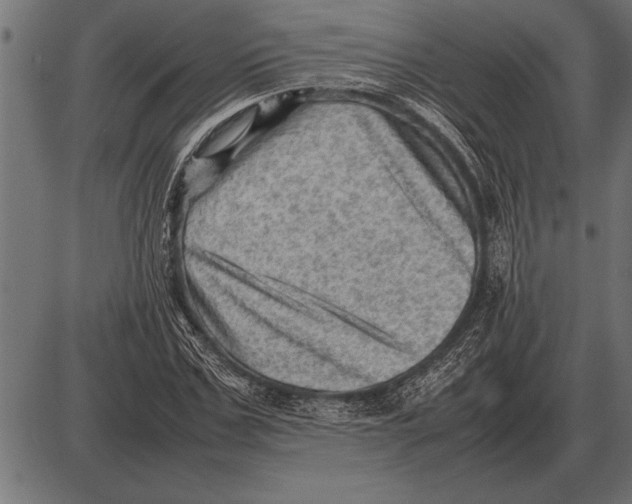 X0000085740971200704091505