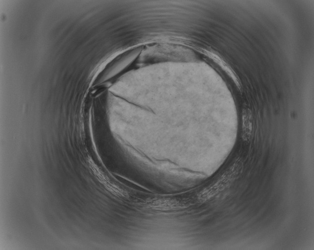 X0000085740972200704091505