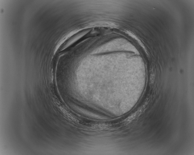 X0000085740973200704091505