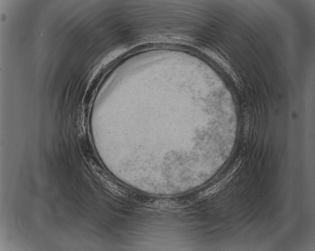 X0000085740974200704091505