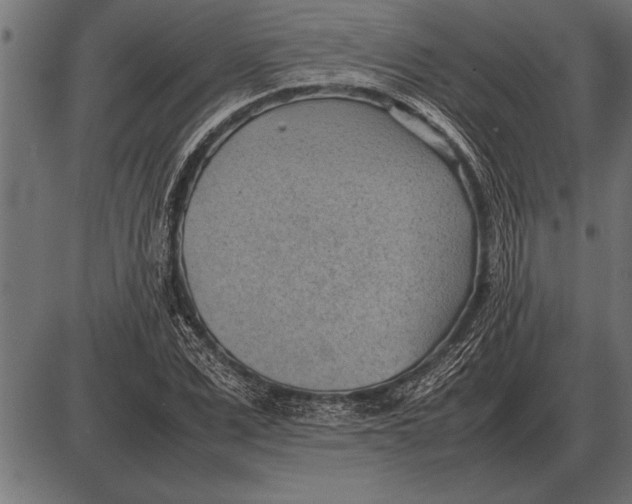 X0000085740975200704091505
