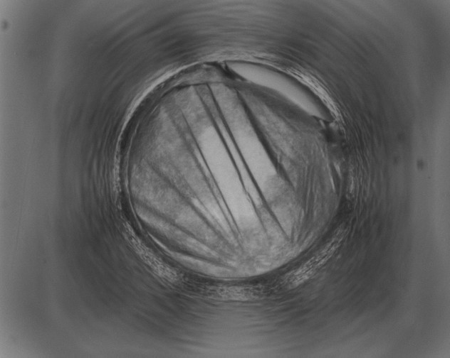 X0000085740976200704091505