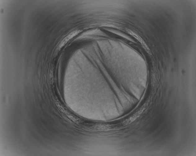 X0000085740977200704091505
