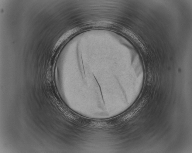 X0000085740978200704091505