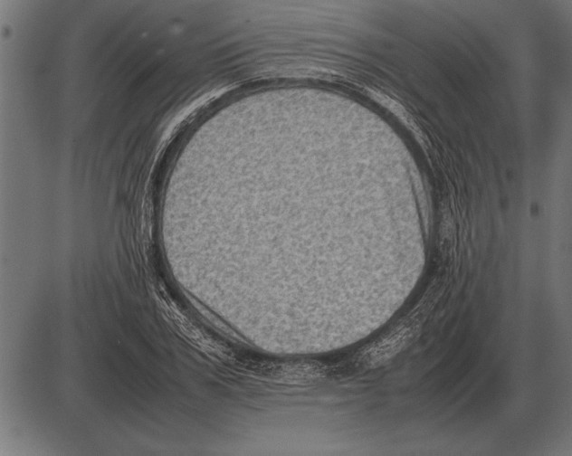 X0000085740979200704091505