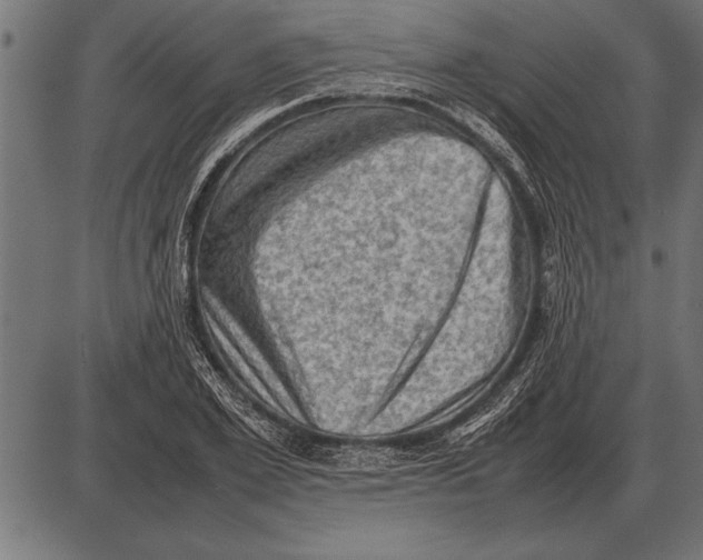 X0000085740981200704091505