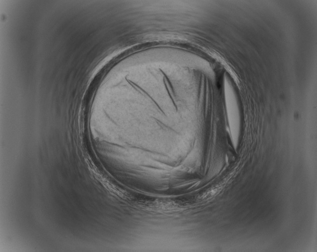 X0000085740983200704091505