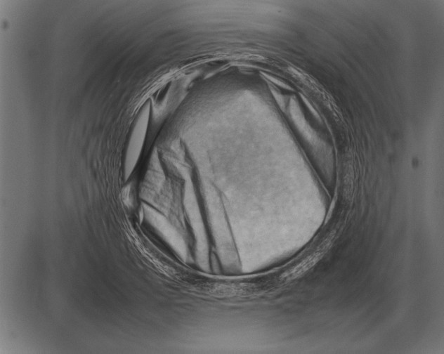 X0000085740985200704091505
