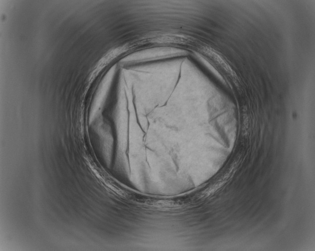 X0000085740986200704091505