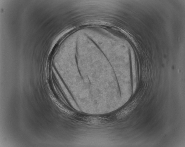 X0000085740987200704091505
