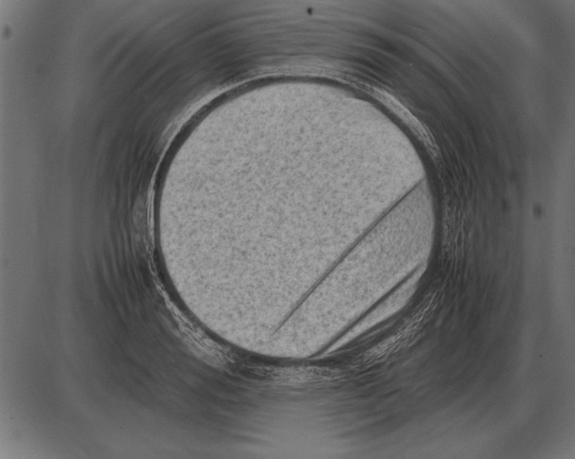 X0000085740988200704091505