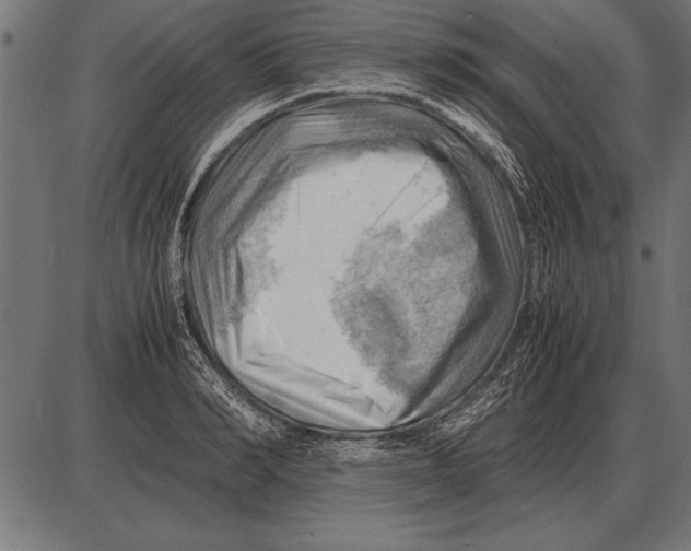 X0000085740990200704091505