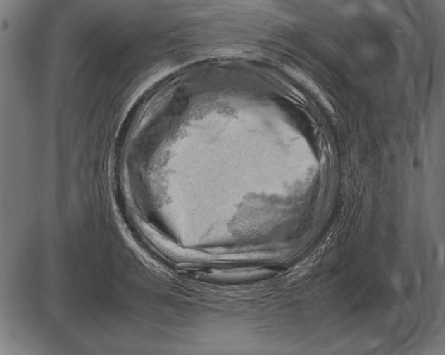 X0000085740991200704091505