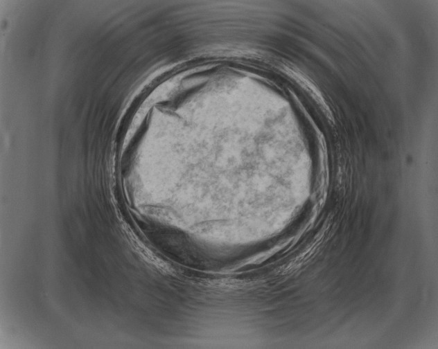 X0000085740992200704091505