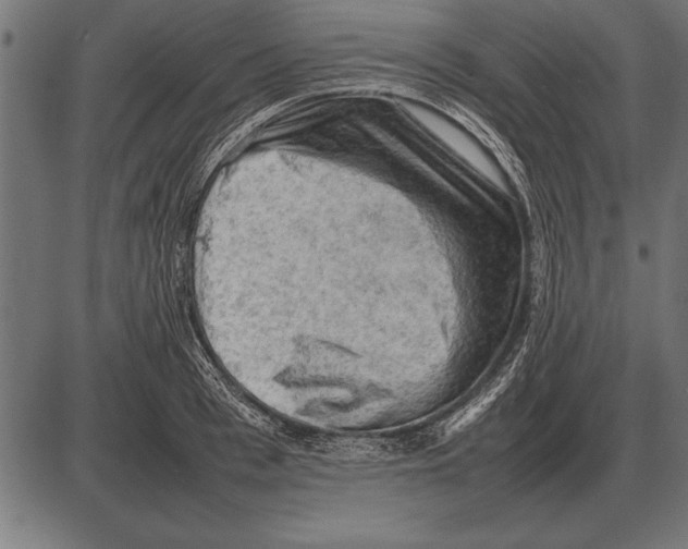 X0000085740993200704091505