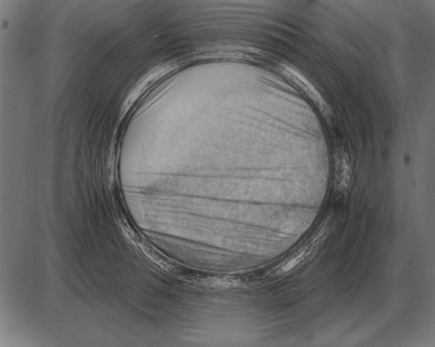 X0000085740994200704091505