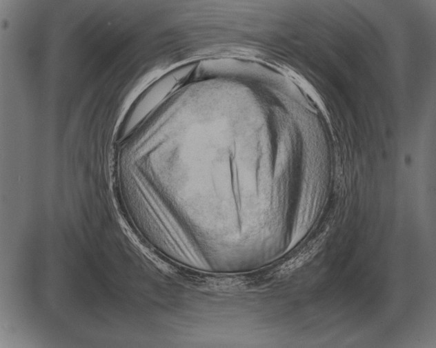 X0000085740997200704091505