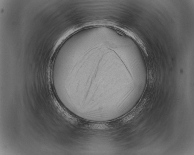 X0000085740998200704091505