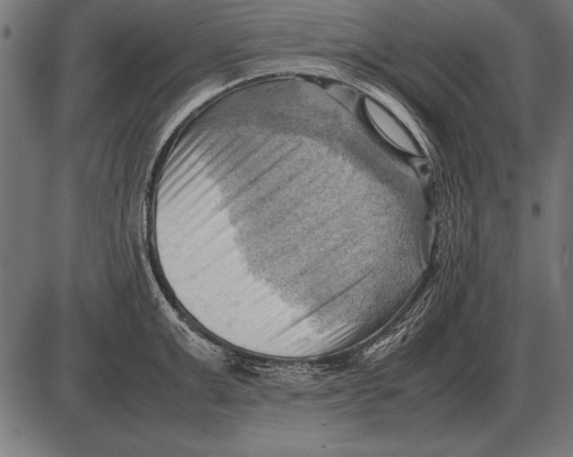 X0000085740999200704091505