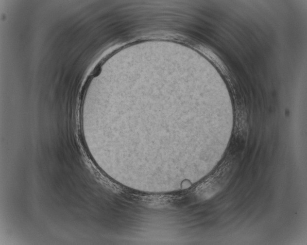X0000085741000200704091505