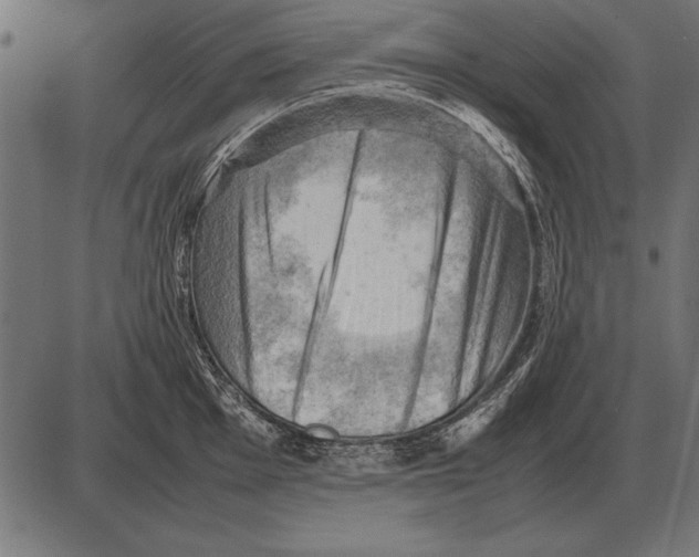 X0000085741001200704091505
