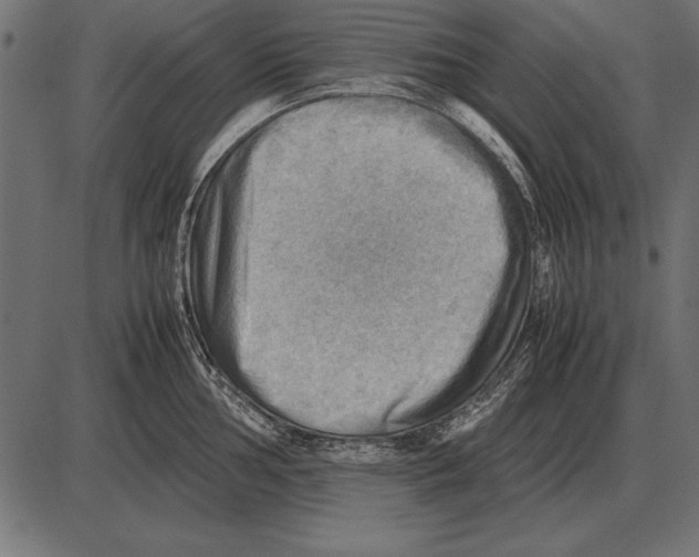 X0000085741002200704091505