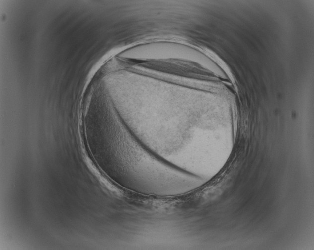 X0000085741005200704091505