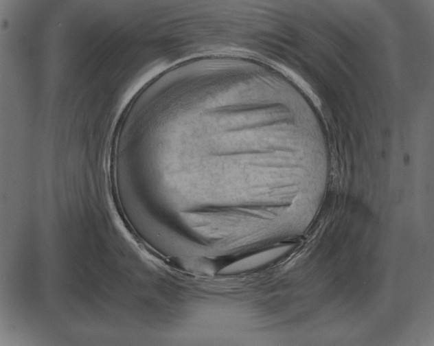 X0000085741007200704091505
