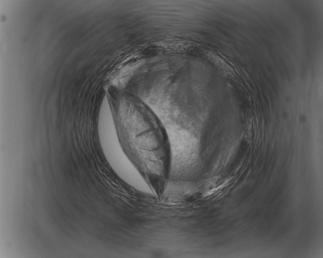 X0000085741010200704091504