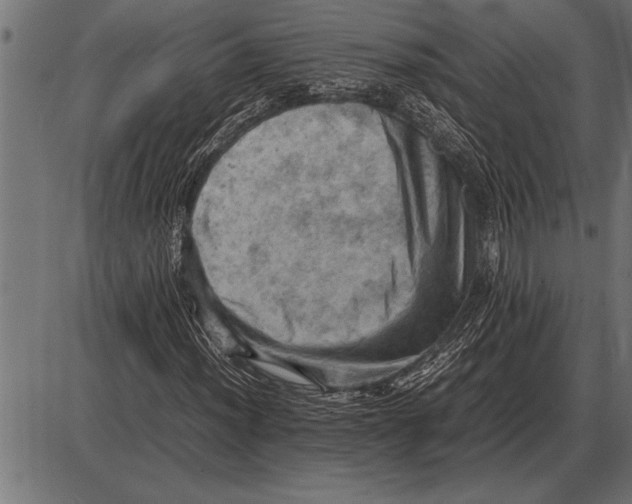 X0000085741012200704091504