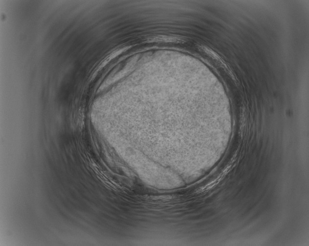 X0000085741017200704091504