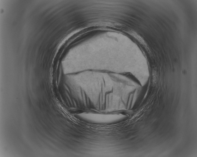 X0000085741020200704091504