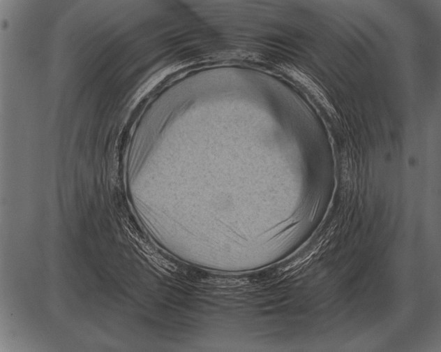 X0000085741023200704091504