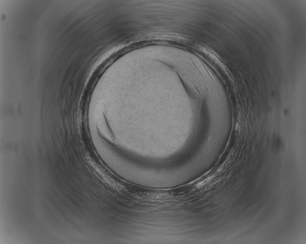 X0000085741024200704091504