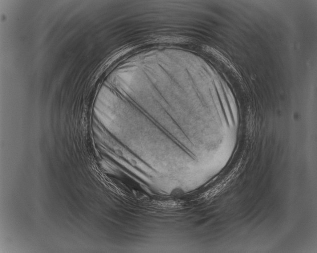 X0000085741025200704091504