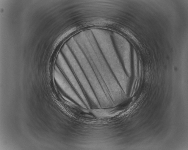 X0000085741026200704091504