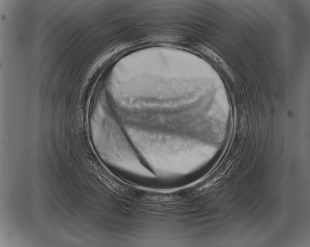 X0000085741027200704091504